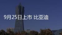 9月25日上市 比亞迪宋MAX定位7座家用MPV