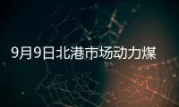 9月9日北港市場(chǎng)動(dòng)力煤暫穩(wěn)運(yùn)行