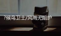 ?候鳥衛士/風雨無阻護“過冬客”
