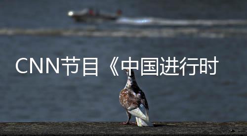 CNN節目《中國進行時》聚焦中國本土葡萄酒
