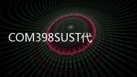 COM398SUST代做、代寫Java/Python程序
