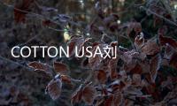 COTTON USA劉薇攜手發布中國職業時尚趨勢