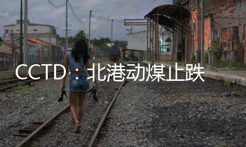 CCTD：北港動煤止跌了嗎?