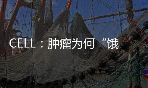 CELL：腫瘤為何“餓不死”？神經元為饑餓胰腺癌提供營養支持?