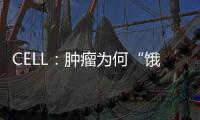CELL：腫瘤為何“餓不死”？神經元為饑餓胰腺癌提供營養支持?