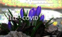 CELL：COVID