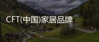 CFT(中國)家居品牌節創始人陳龍:相信品牌的力量