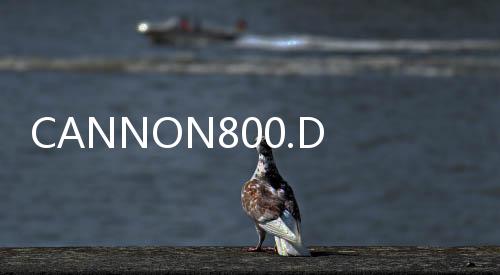 CANNON800.DRV(關(guān)于CANNON800.DRV簡述)
