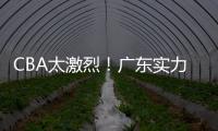 CBA太激烈！廣東實力獨一檔，9隊爭第三，3隊爭1季后賽名額