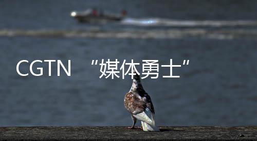 CGTN “媒體勇士”招募行動決賽24強集結