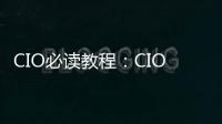 CIO必讀教程：CIO知識體系指南(關于CIO必讀教程：CIO知識體系指南簡述)