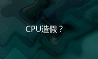 CPU造假？