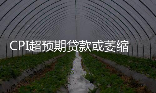 CPI超預(yù)期貸款或萎縮 二季度為加息敏感期