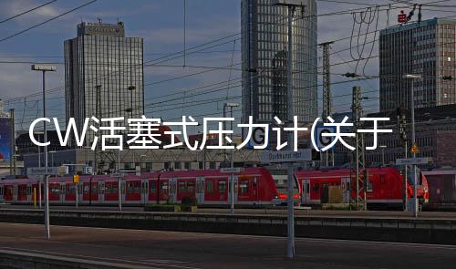 CW活塞式壓力計(關于CW活塞式壓力計簡述)