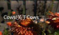 Cows(關于Cows簡述)