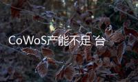 CoWoS產(chǎn)能不足 臺積電調(diào)派數(shù)千人支援