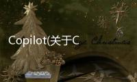 Copilot(關(guān)于Copilot簡(jiǎn)述)
