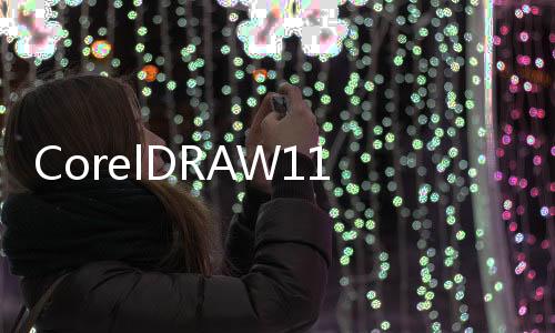 CorelDRAW11標準教程(關于CorelDRAW11標準教程簡述)