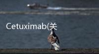 Cetuximab(關于Cetuximab簡述)