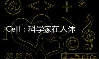 Cell：科學(xué)家在人體腸道中鑒定出超過(guò)14萬(wàn)種病毒