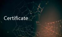 Certificate No是什么意思？ certificate