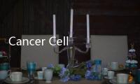 Cancer Cell史上首次發(fā)表3期臨床試驗(yàn) 這項(xiàng)研究有何過(guò)人之處