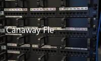 Canaway Fleming設(shè)計英國EDF能源公司工人村（圖）