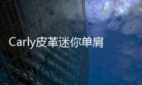 Carly皮革迷你單肩包(關(guān)于Carly皮革迷你單肩包簡述)