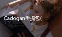 Cadogan手提包(關于Cadogan手提包簡述)