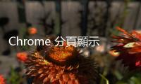 Chrome 分頁顯示記憶體用量，快速找出哪個(gè)網(wǎng)頁占用電腦資源