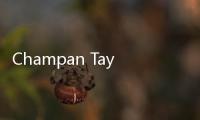 Champan Taylor的利物浦水岸計劃獲批