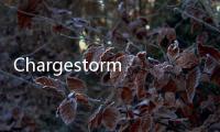 Chargestorm與Flowbird合作 推出充電設備