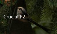 Crucial P2 SSD規(guī)格怎么樣