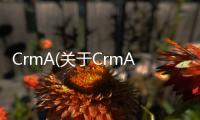 CrmA(關于CrmA簡述)