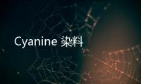 Cyanine 染料