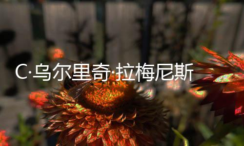 C·烏爾里奇·拉梅尼斯(關(guān)于C·烏爾里奇·拉梅尼斯簡述)