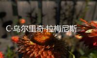 C·烏爾里奇·拉梅尼斯(關(guān)于C·烏爾里奇·拉梅尼斯簡(jiǎn)述)
