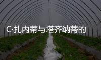 C·扎內(nèi)蒂與塔齊納蒂的交換正在談判中