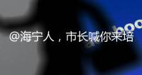 @海寧人，市長喊你來培訓！就在明天14時！一定要來！！