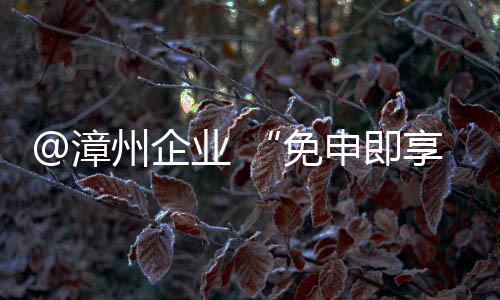 @漳州企業 “免申即享”惠企政策來了