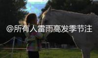 @所有人雷雨高發(fā)季節(jié)注意防范雷擊災(zāi)害