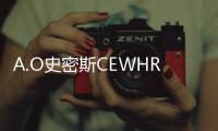 A.O史密斯CEWHR