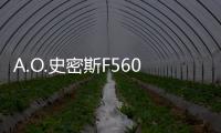 A.O.史密斯F560(關于A.O.史密斯F560簡述)