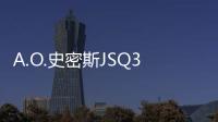 A.O.史密斯JSQ33