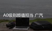 A0級別顏值擔當 廣汽豐田致炫實拍圖解