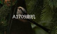A1709刷機(jī)