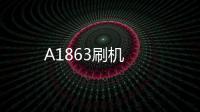A1863刷機(jī)