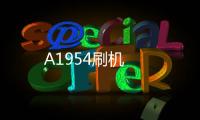 A1954刷機