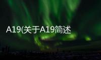 A19(關(guān)于A19簡(jiǎn)述)