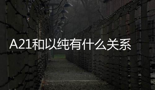 A21和以純有什么關系（a21是以純嗎）